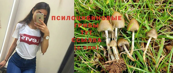 меф Кодинск